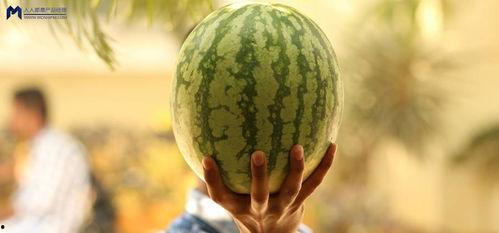 在哪里可以吃娱乐圈的瓜